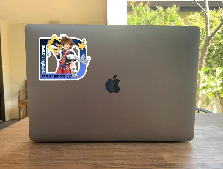 Disney’s “D” Annual Passholder Sticker - Kingdom hearts Sora - Fanart